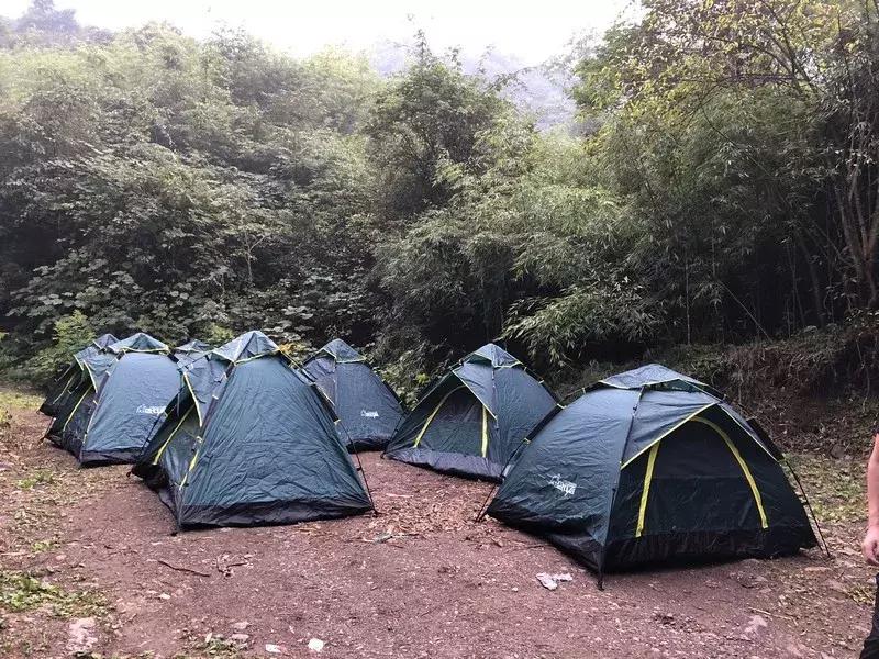 新鲜龙须笋的家常做法,龙须笋的正确食用方法