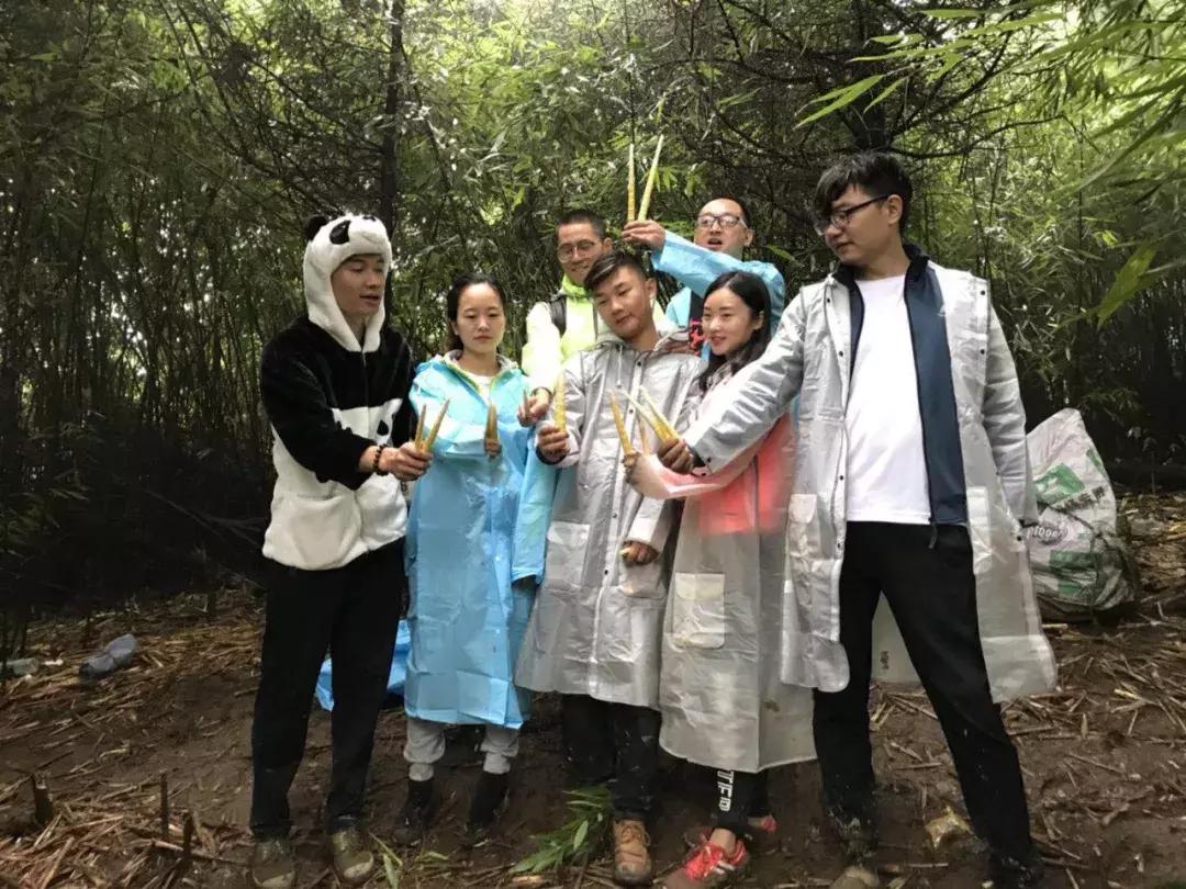 新鲜龙须笋的家常做法,龙须笋的正确食用方法