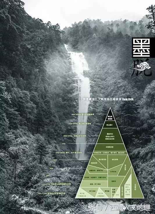 不可思议的林芝：高原荒凉刻板印象的颠覆者