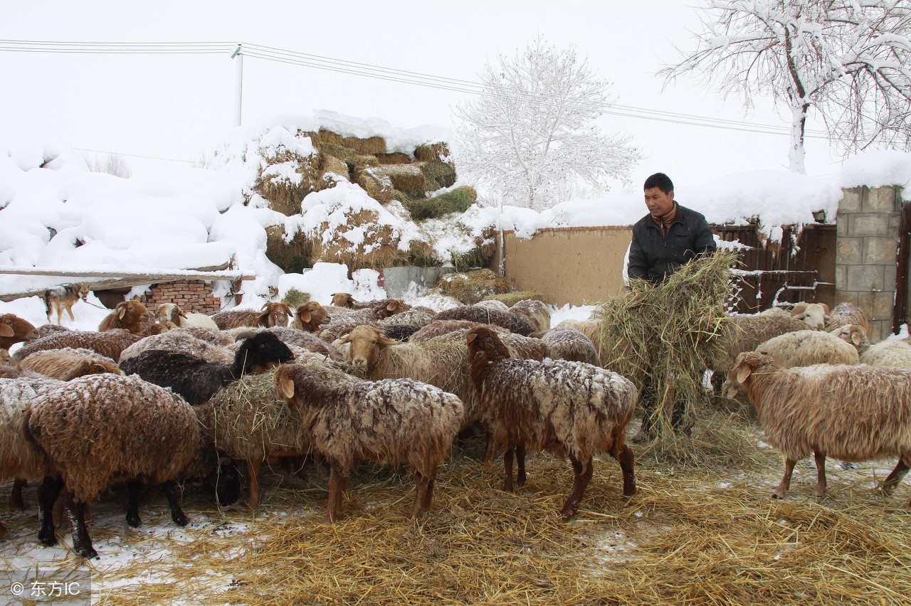 中国56个民族知识大全书籍,关于中国56个民族的知识