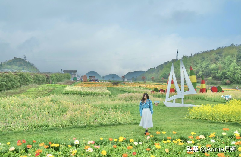 百里杜鹃花开如海,百里杜鹃百里盛开