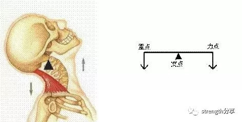 深蹲高级技巧21次训练法,深蹲训练器械标准动作