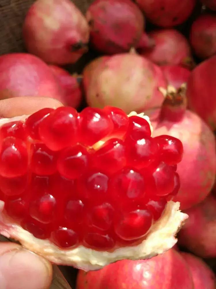 云南建水酸石榴皮薄多汁,建水县老树酸甜石榴