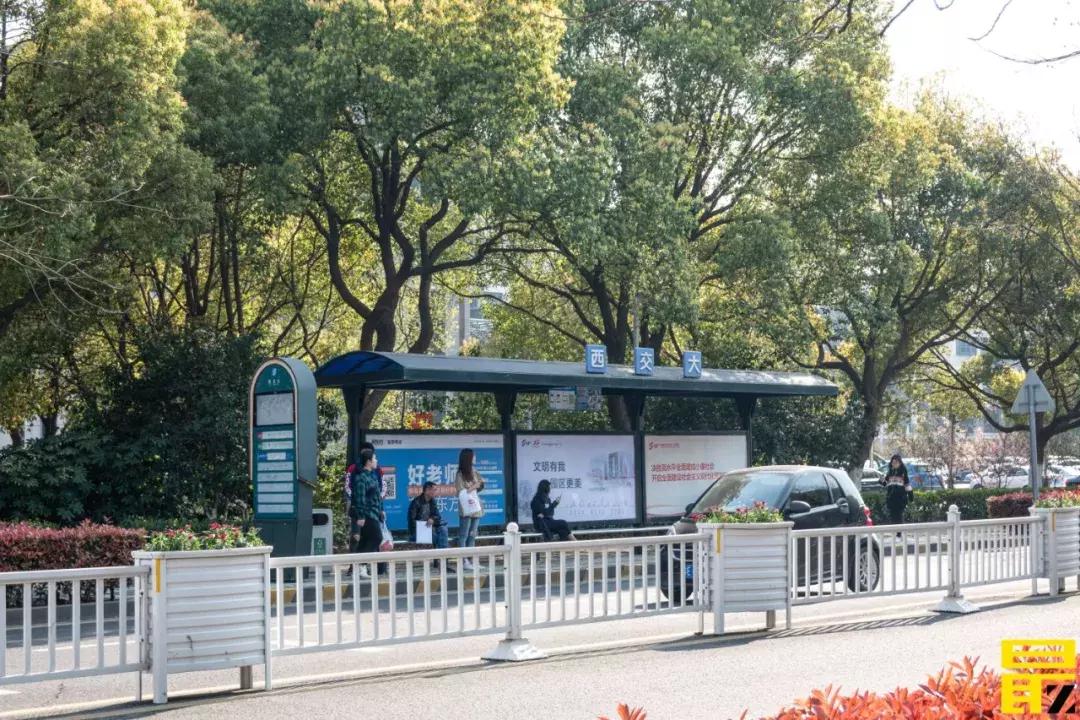 西交利物浦苏州校区,苏州西交利物浦美女