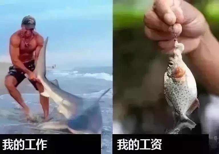 深圳最真实的工资,2018深圳薪资报告