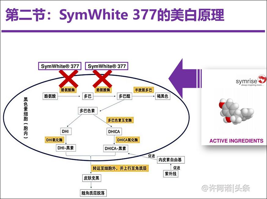 X教授成分课｜No.3SymWhite377——美白界的扛把子