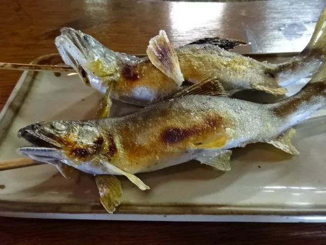 世界顶级淡水鱼大全,世界上顶级鱼类大全