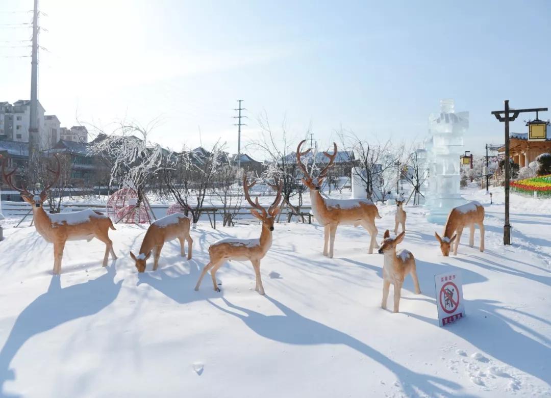 延吉冰雪旅游节,延吉国际冰雪旅游节