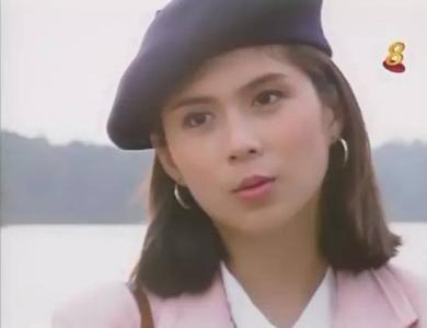 白玉川最爱的电视剧,新加坡电视剧莲花争霸白玉川