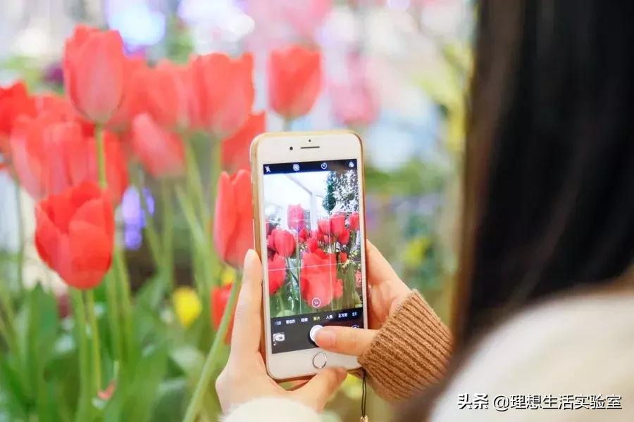 龙湖成都金楠天街,成都龙湖金楠天街哪一期最好