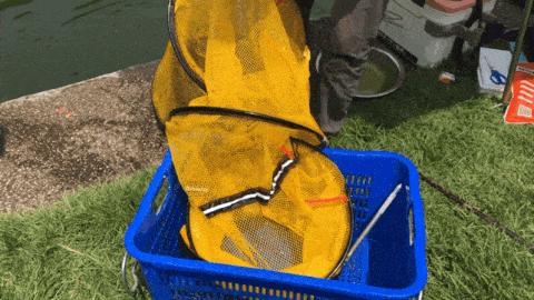 9月8日：华为、比亚迪、富士康、老G鱼饵，联合举办深圳企业联赛