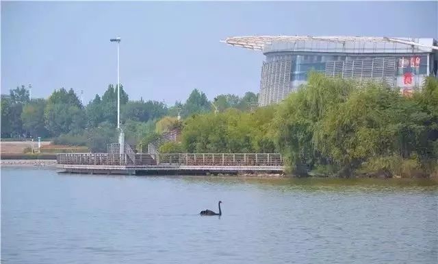 郑州今年还会升温吗,郑州今年会更火吗