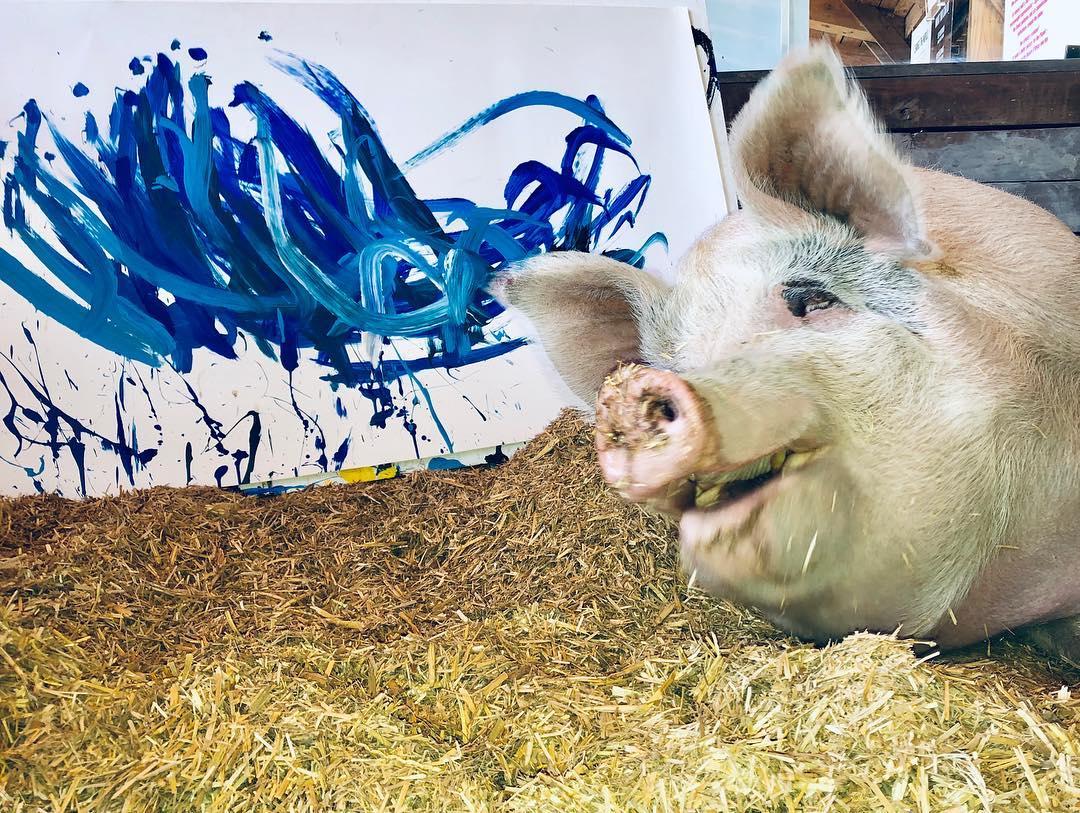 老鼠画画超简单,老鼠画画作品