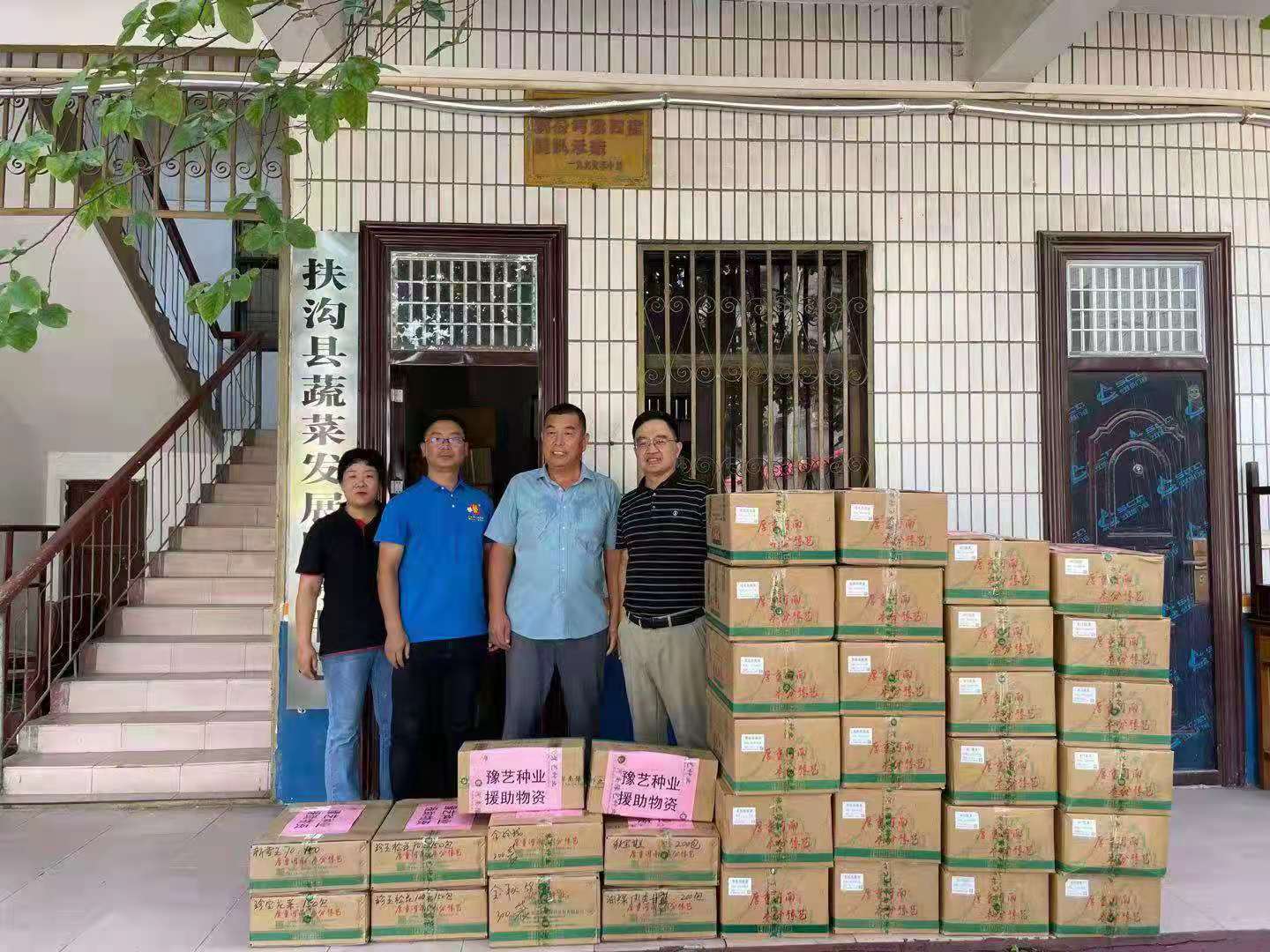 2900包种子：扶沟菜农的绿色希望