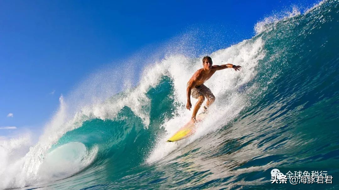 奥克兰旅游必买清单,新西兰奥克兰旅游攻略最全