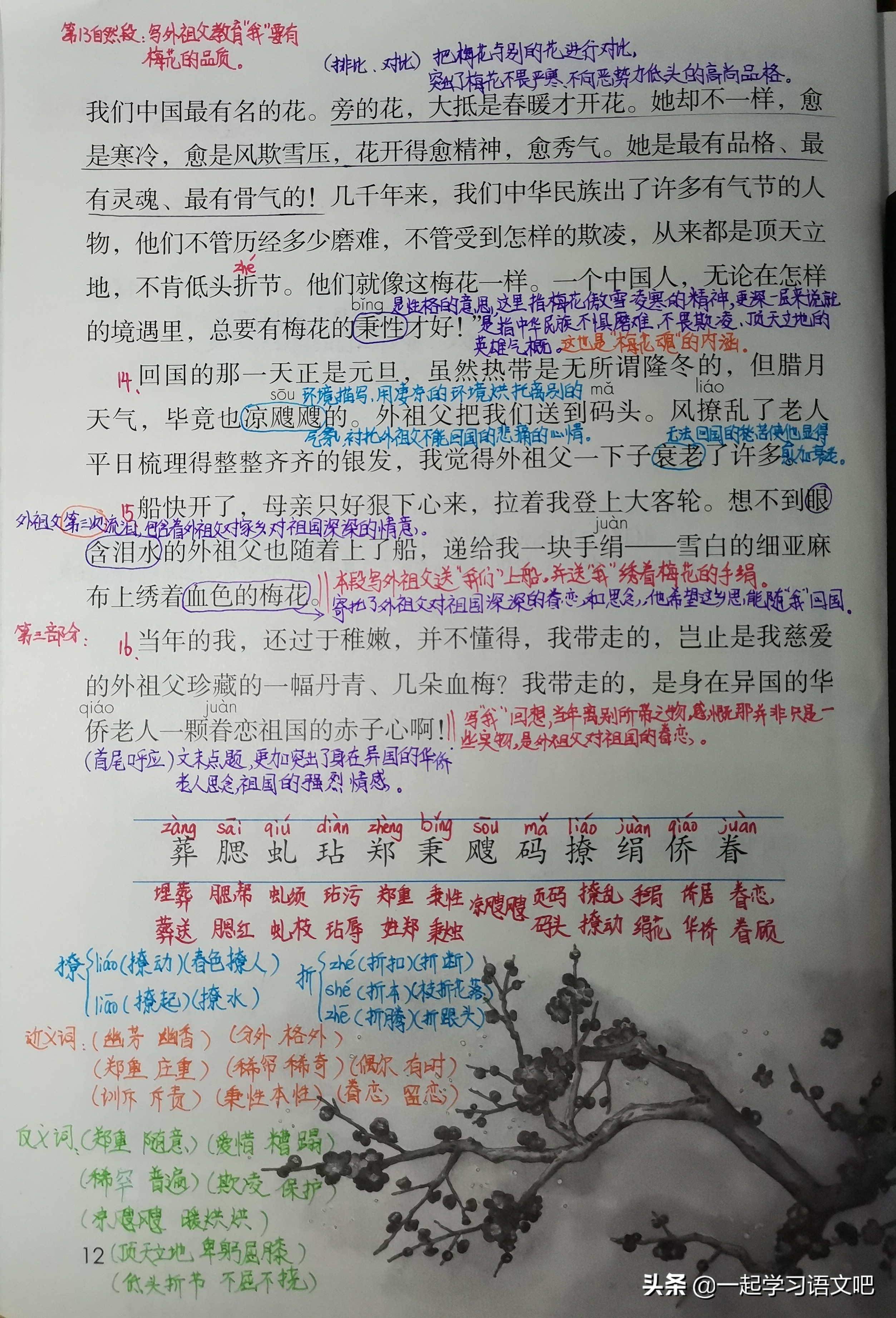 五年级语文第四课梅花魂讲解,语文五年级下册第四课梅花魂笔记