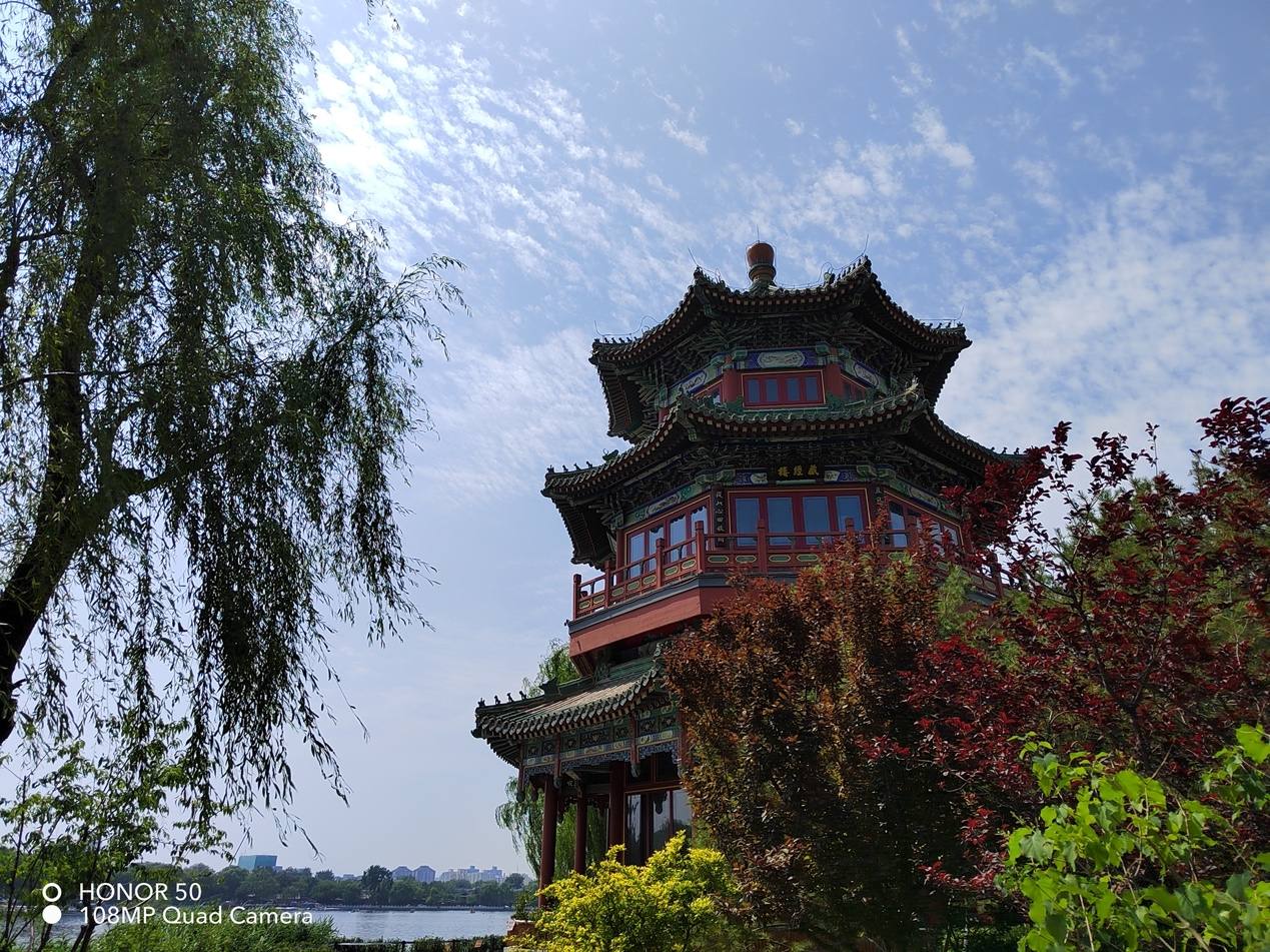 荣耀50详细评测视频,荣耀50真实测评