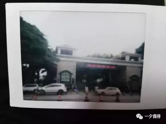 摄影拍立得视频,摄影小白入门相机拍立得