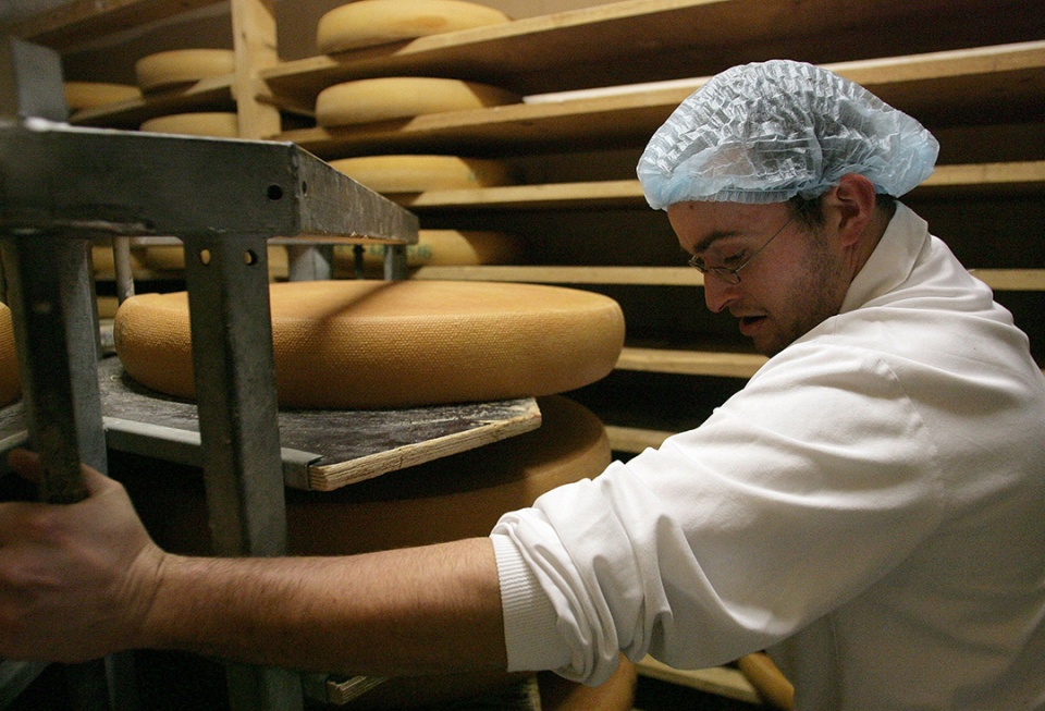 如何分清各种芝士,如何选择适合自己的芝士种类