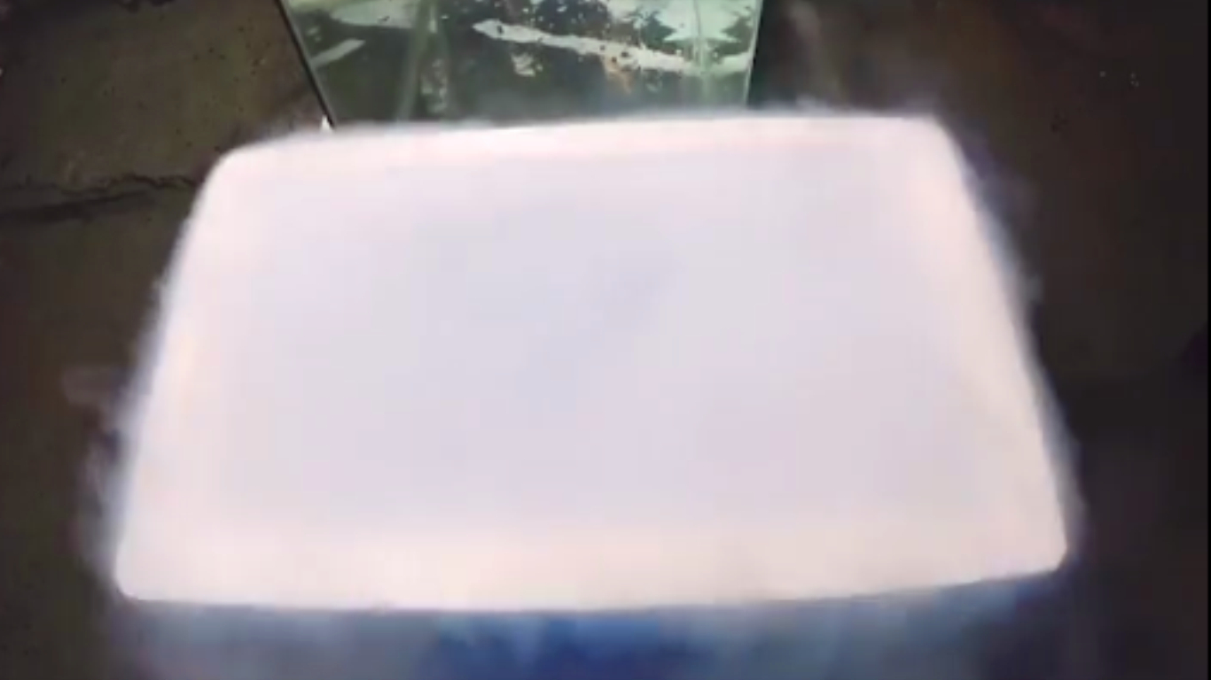 被冻的鱼还能活吗,液氮里冻僵怎么治疗