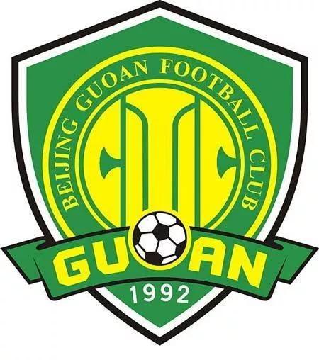 中国足球职业化排名,深度分析中国足球发展之路