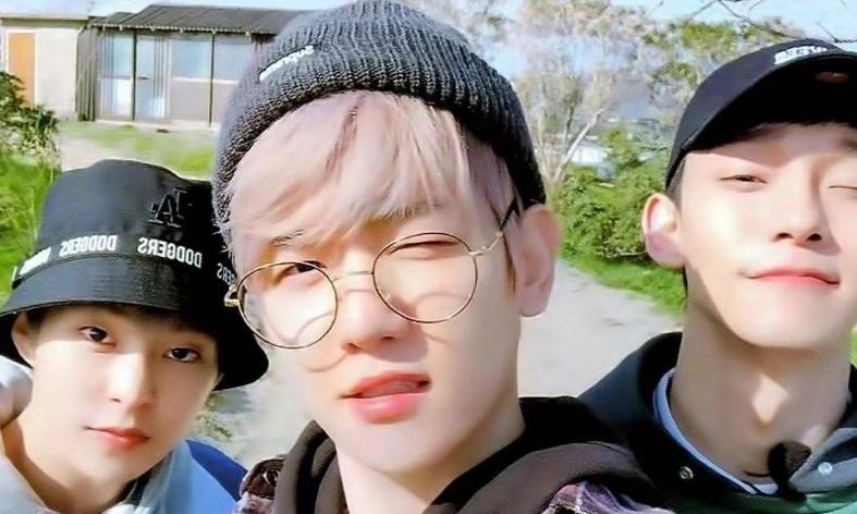 边伯贤吐槽exo音调高,边伯贤怒怼私生饭视频