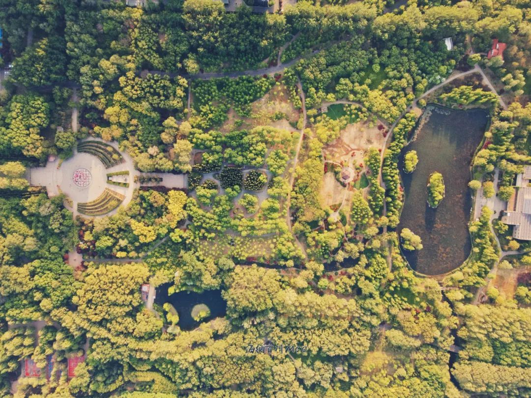 去济南的旅游景点推荐一下,济南五一必去十大网红景点