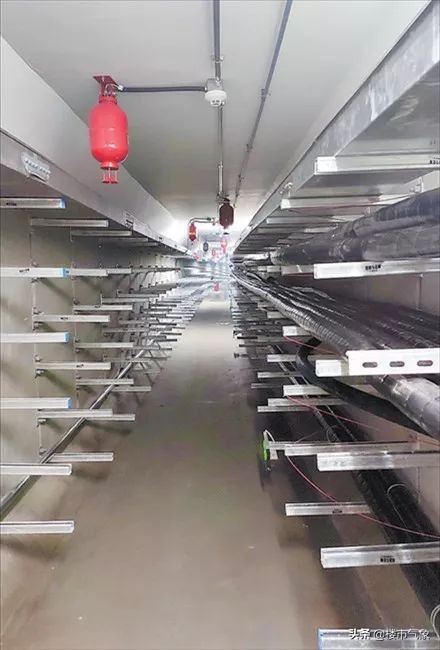 郑万高铁郑州至襄阳,郑州郑万高铁