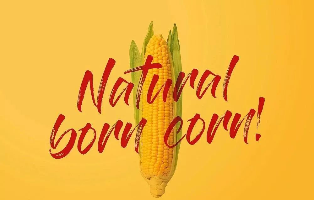 创意品牌vi设计价位,创意品牌vi设计图