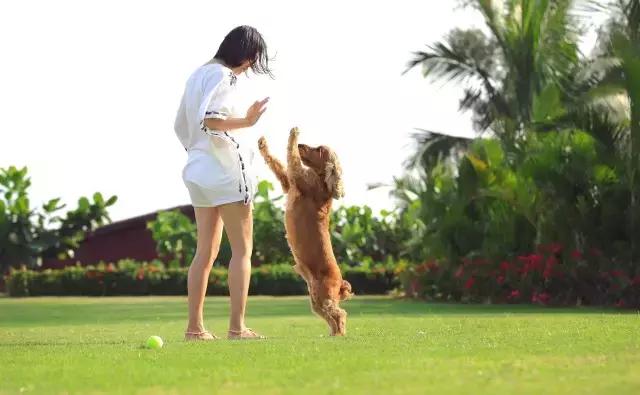 美高梅酒店热气球,美高梅热气球