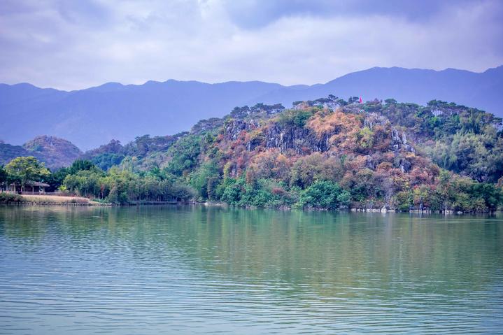 星湖冬日燃情，比落羽杉还要红的是什么？#我和湿地有个约会#