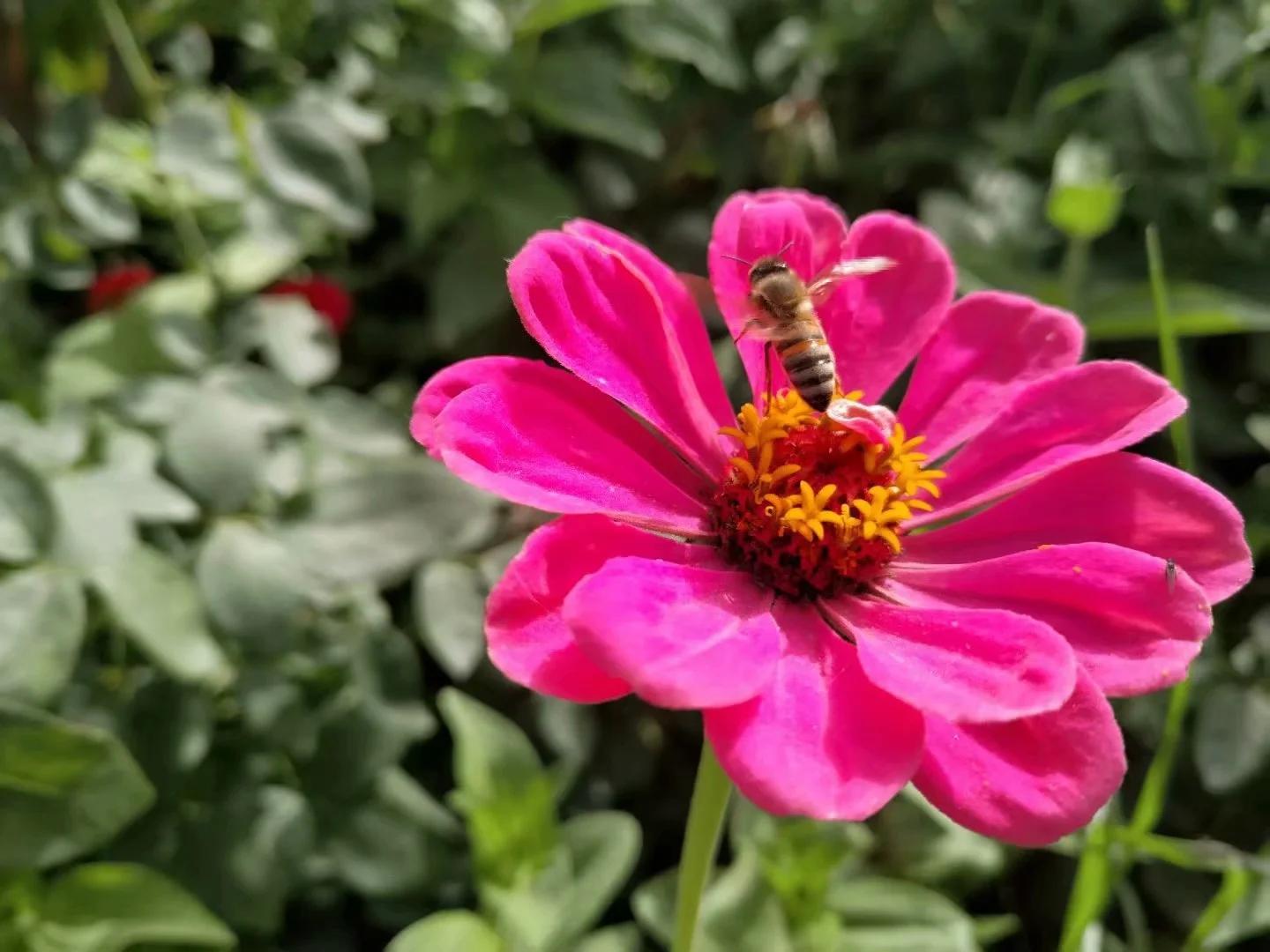 新疆南疆6天旅游攻略完整版,从库车出发新疆旅游攻略