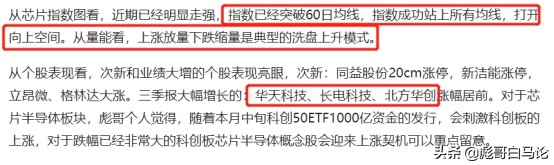 芯片行情见顶,芯片下半年走势