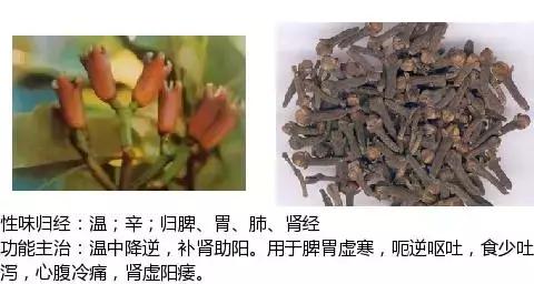 常用中草药名称大全图片及药效,常用中草药药效大全