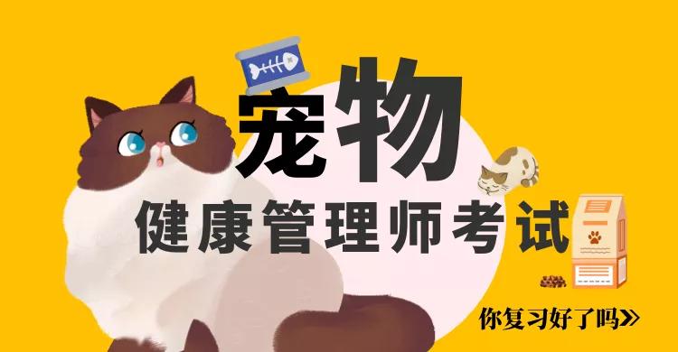 宠物健康管理师国家承认吗,宠物健康管理师证有用吗