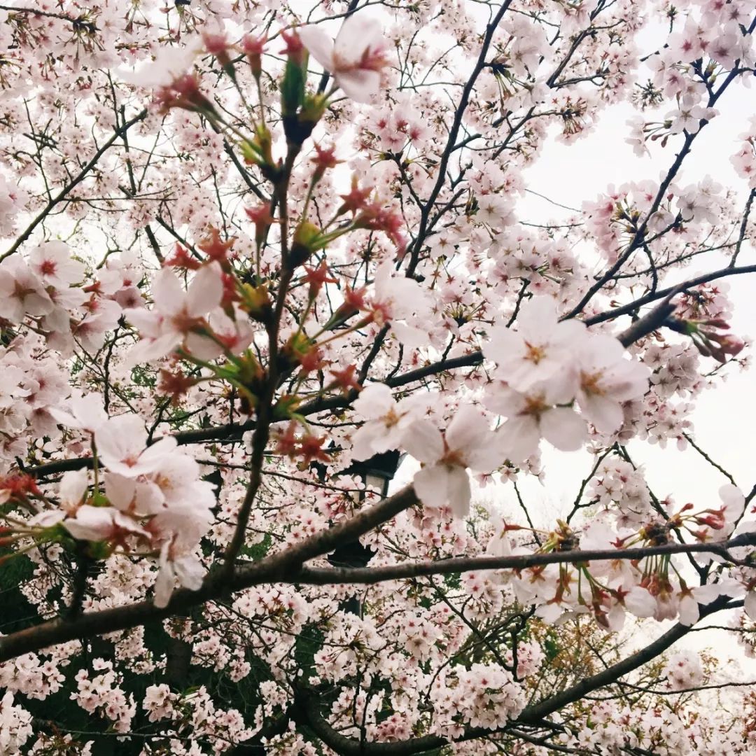 摄影小白适合拍什么,摄影小白拍人像用什么好