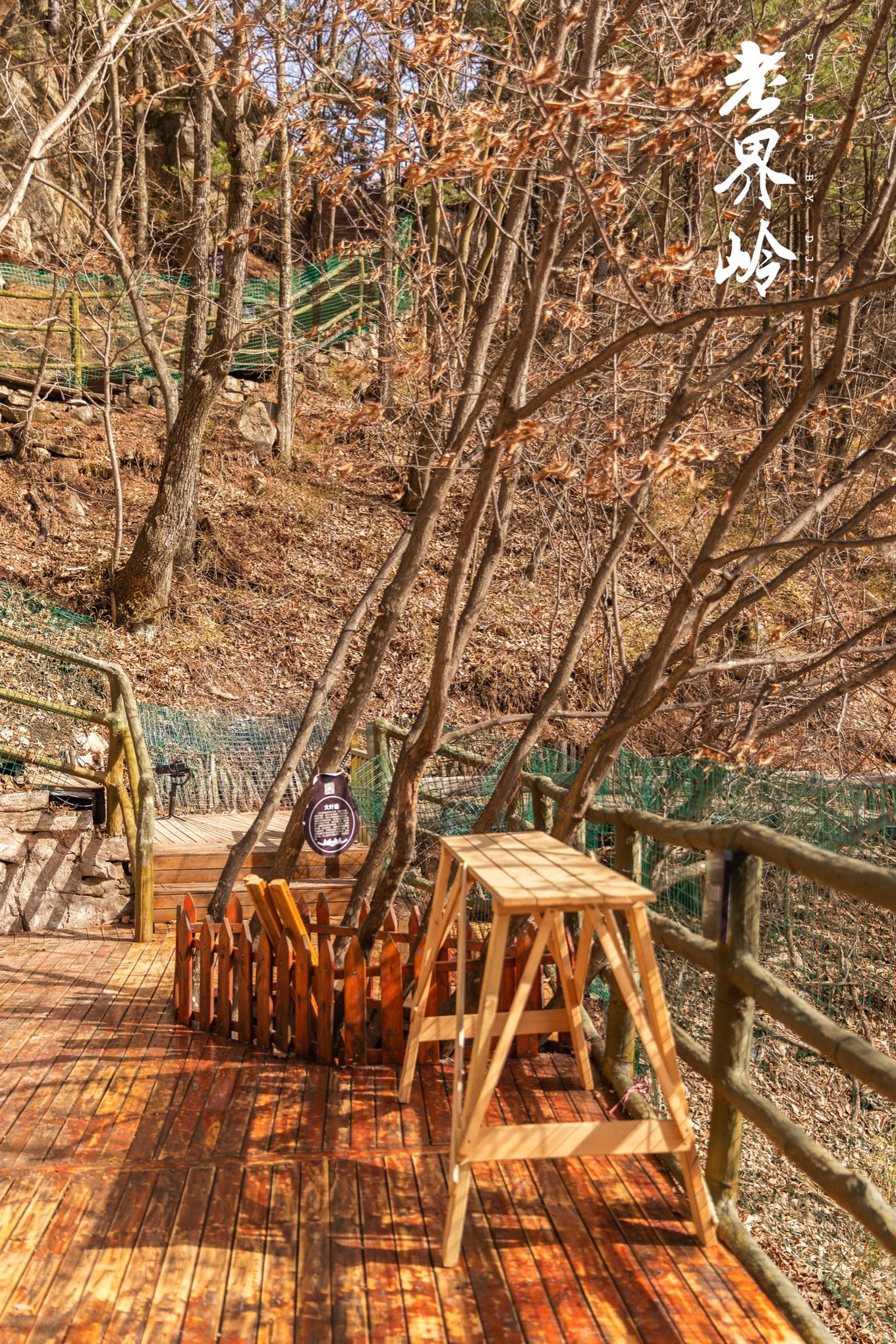 游览老界岭的感悟,河南老界岭景区