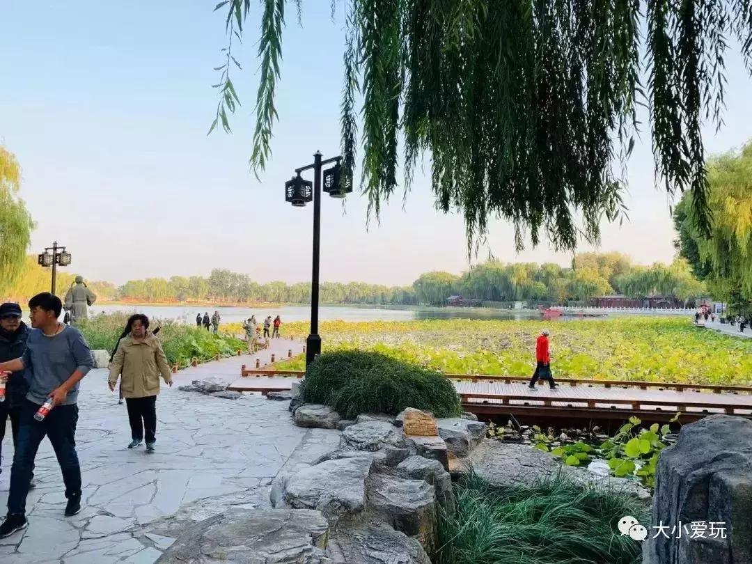 免费公园滑梯,六支沟滑滑梯公园