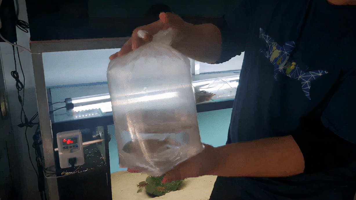 鱼缸搬家攻略视频,鱼缸搬家