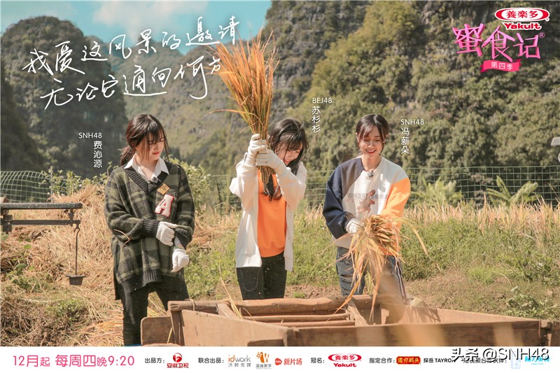 深耕两载，行走四季，治愈系综艺《蜜食记》圆满收官！