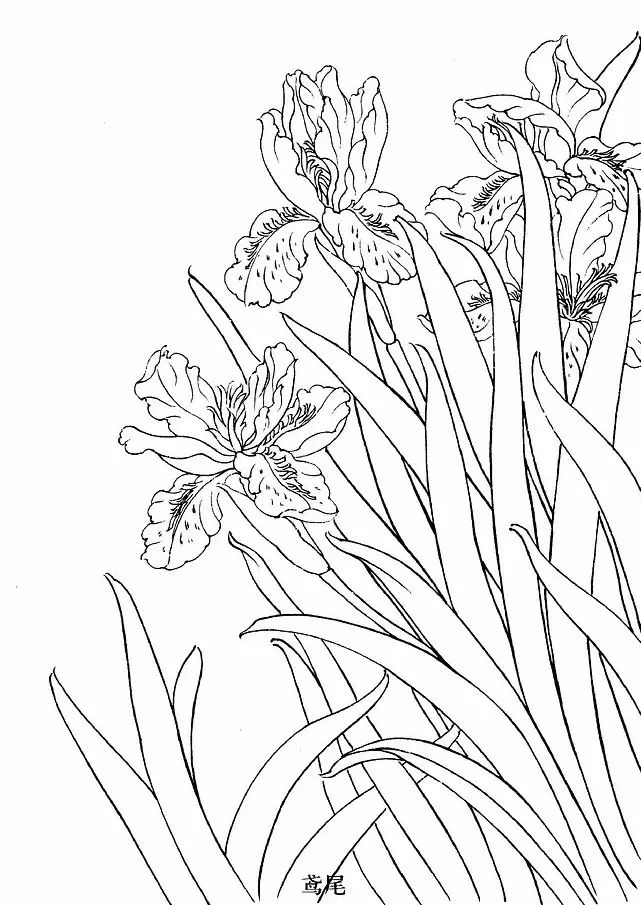 手绘画素材书,100张手绘素材图片