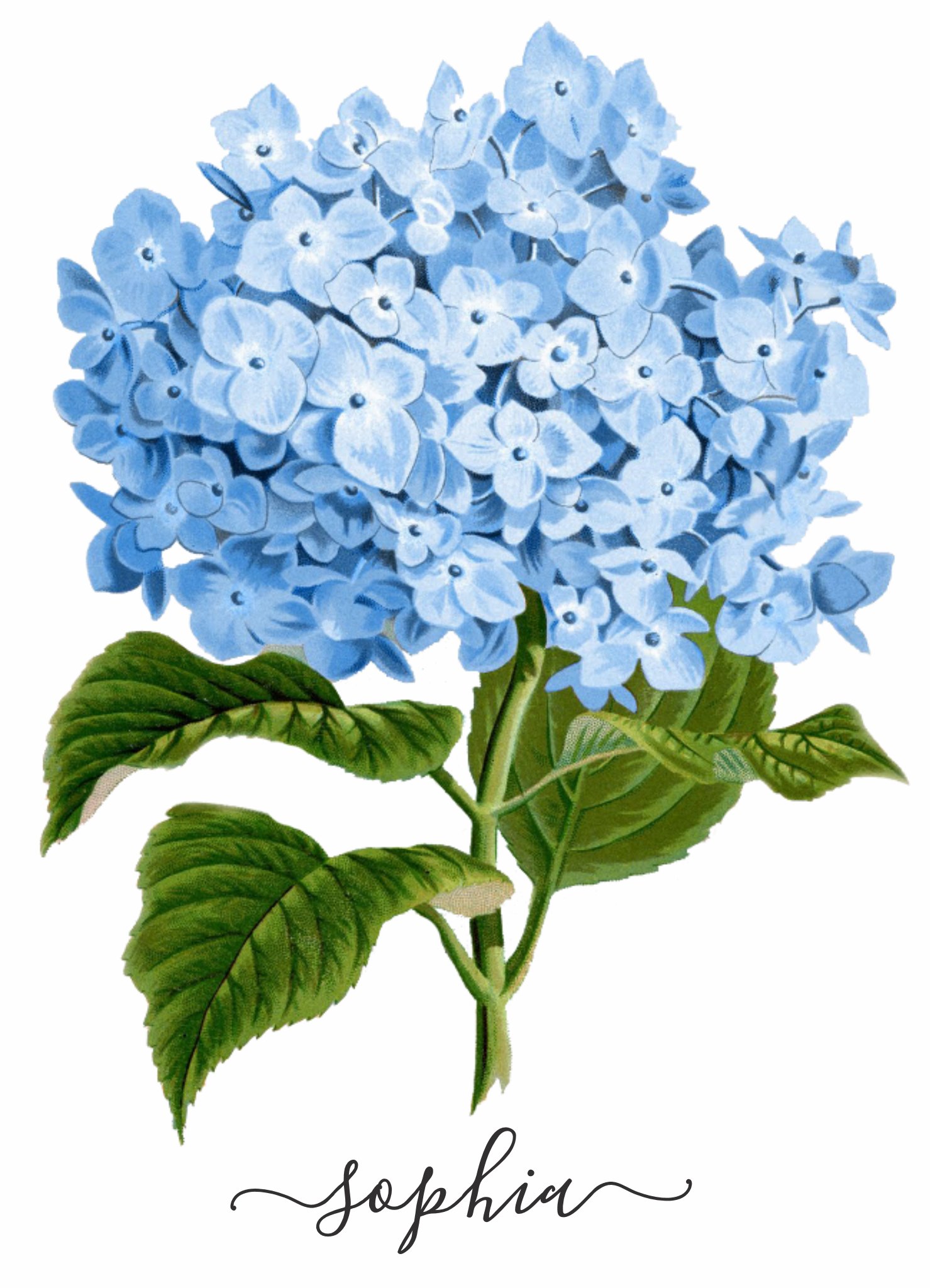 烫画图片大全大图,纯色画布图片素材