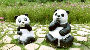 双流哪里可以赏花看飞机,双流附近赏花攻略路线