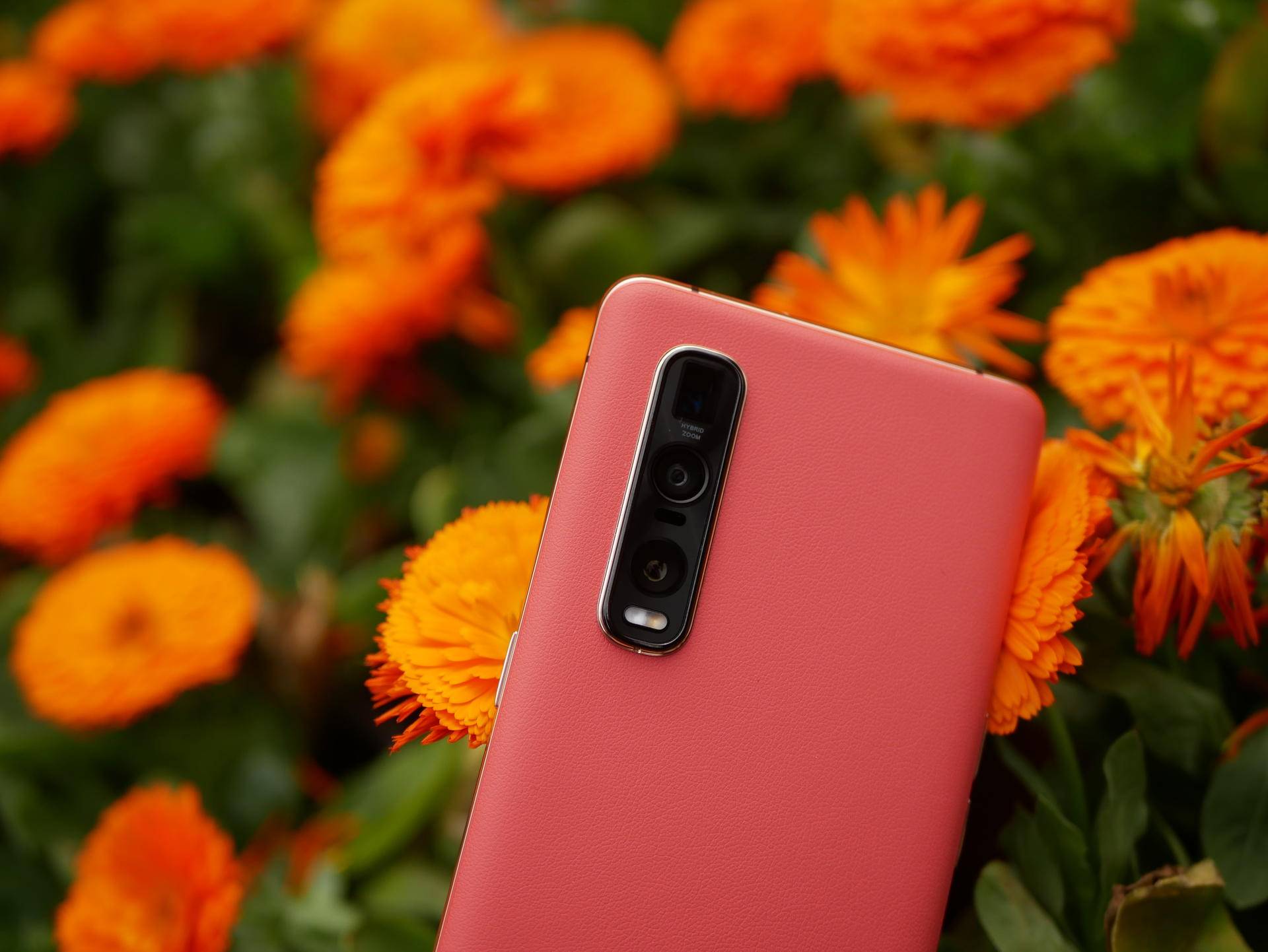 findx2pro什么价格,findx2pro发售价