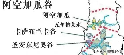 澳洲酒和智利酒,澳洲酒和智利酒的区别