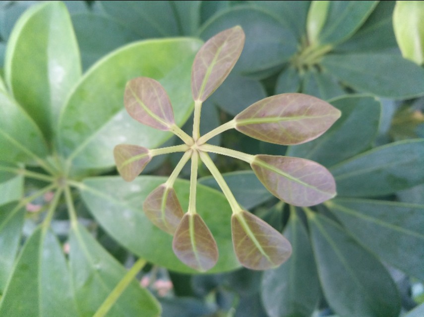 石家庄空中花园居住现状,石家庄空中花园的楼房为什么便宜