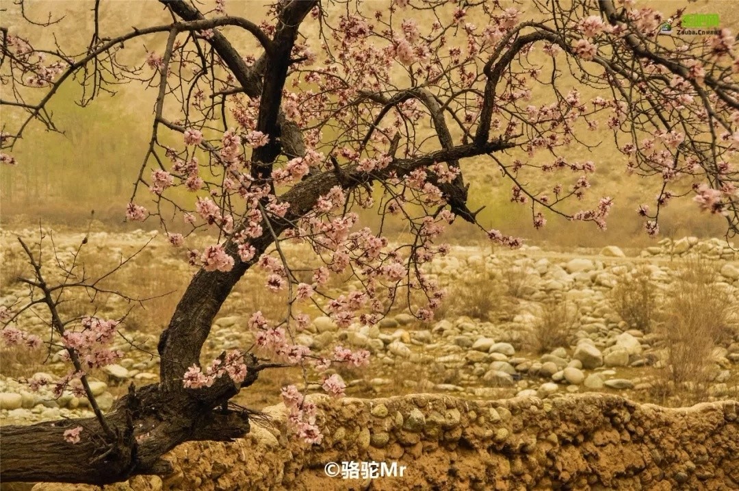 你永远不会体会到*疆新**公路的风情万种，除非你亲自自驾到那里！