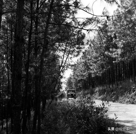 据说，2018年四川最厉害的新闻摄影都在这里