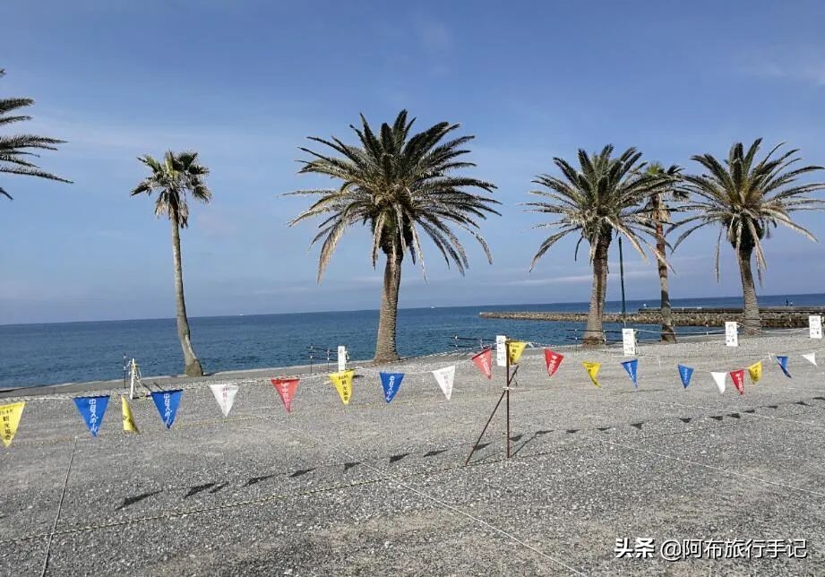名古屋最值得去的景点,名古屋附近去哪玩