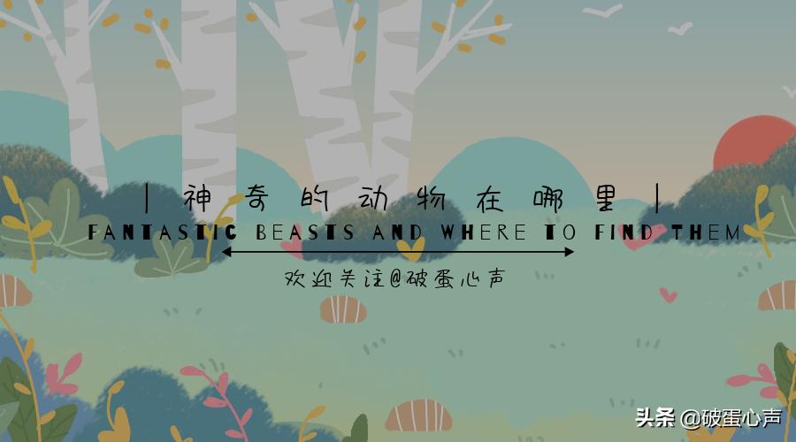 鹦鹉喂养的诀窍是什么,如何给鹦鹉鸟食物喂养好